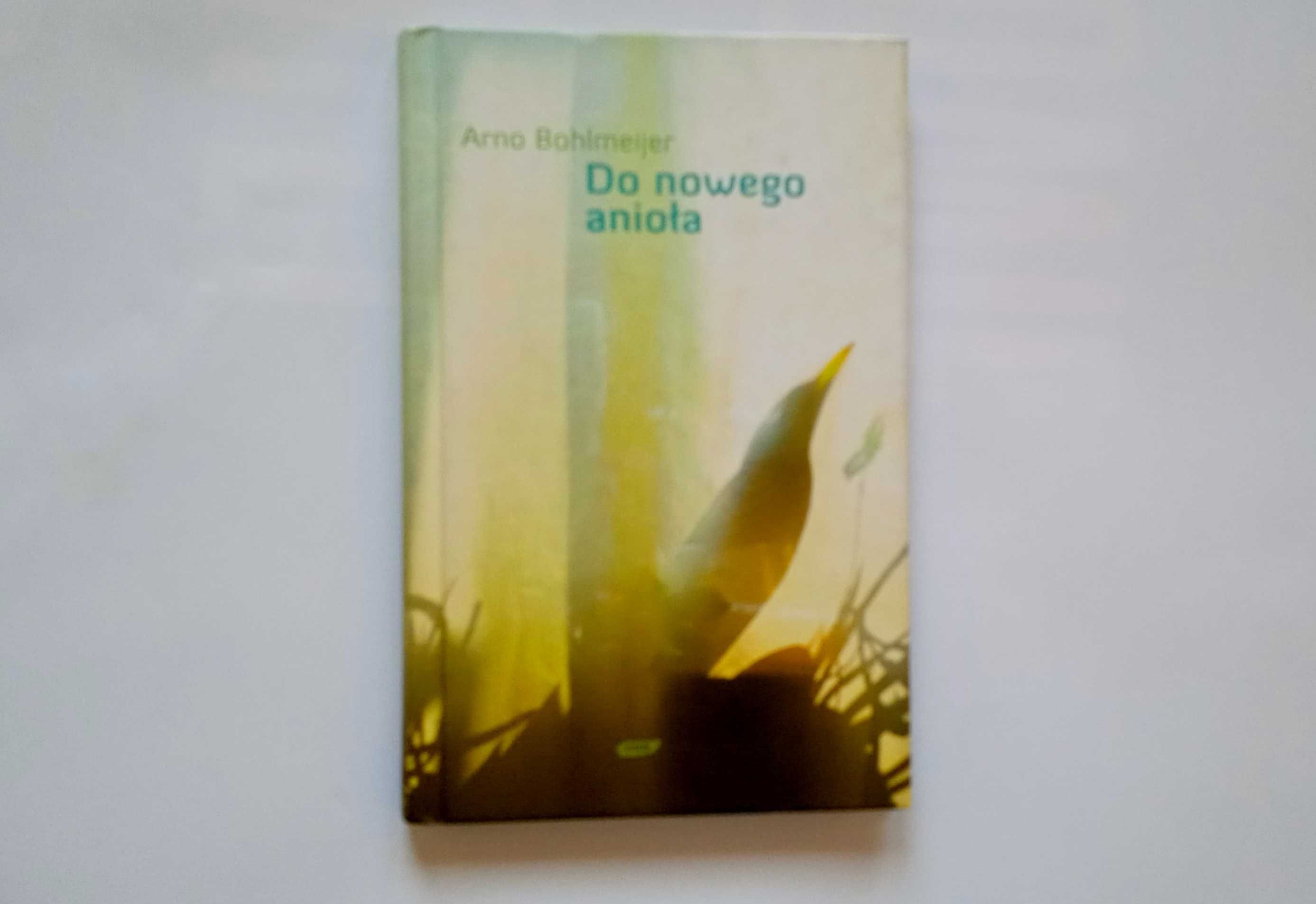 książka "Do nowego anioła" Arno Bohlmeijer