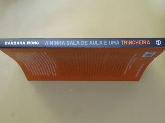 A Minha Sala de Aula é uma Trincheira de Bárbara Wong