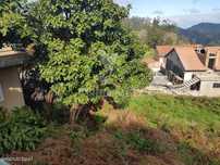 Terreno Urbano no Santo da Serra
