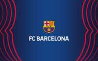 Fcbarcelona.pl domena internetowa