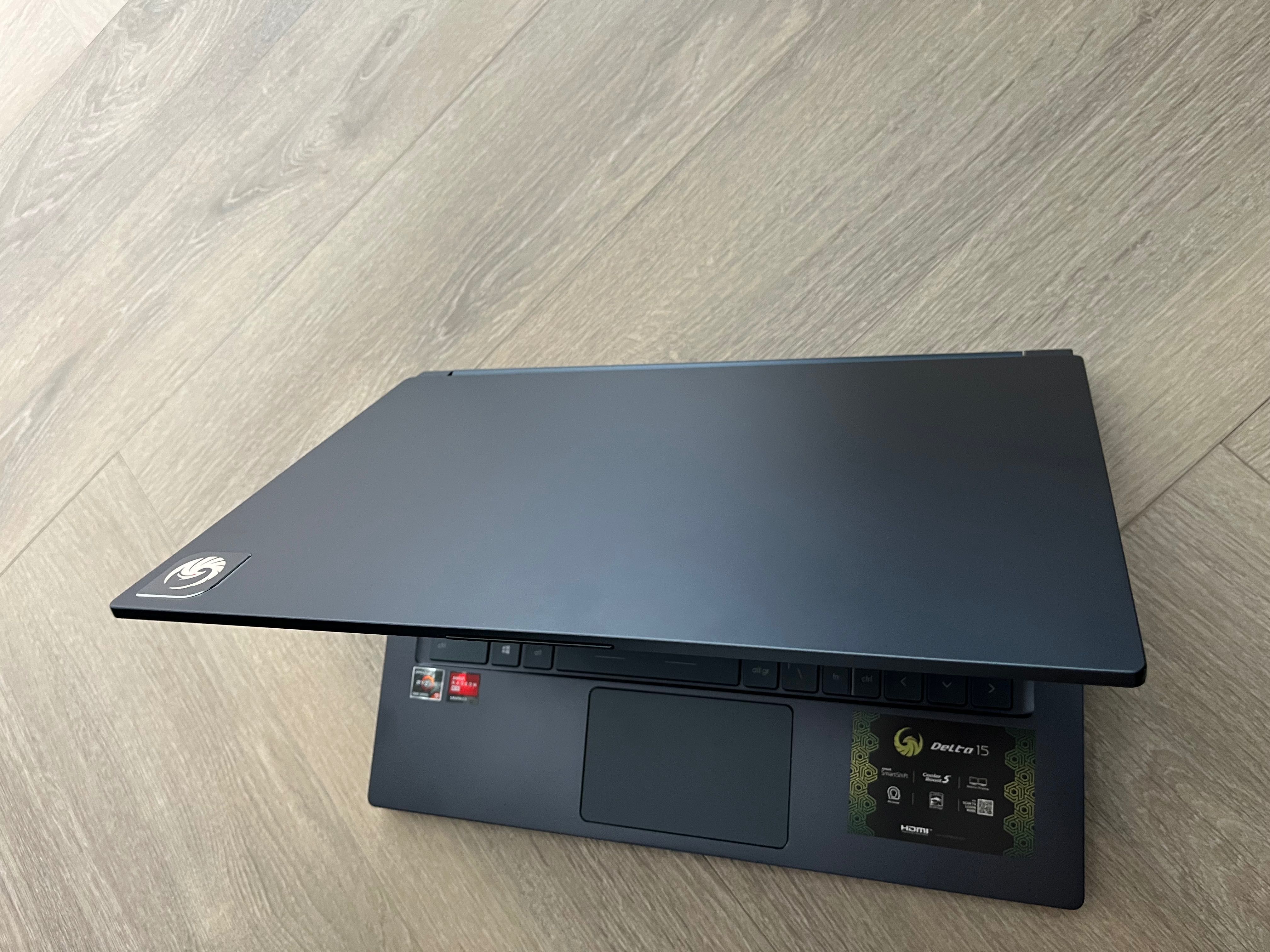 MSI Delta 15 Ryzen 9 1TB NVM 16 GB RAM 6700M FreeSync