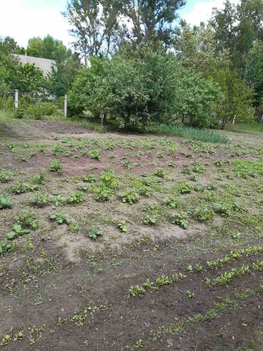 Ділянка 9 соток у садовому товаристві "Якір", приватизована RD