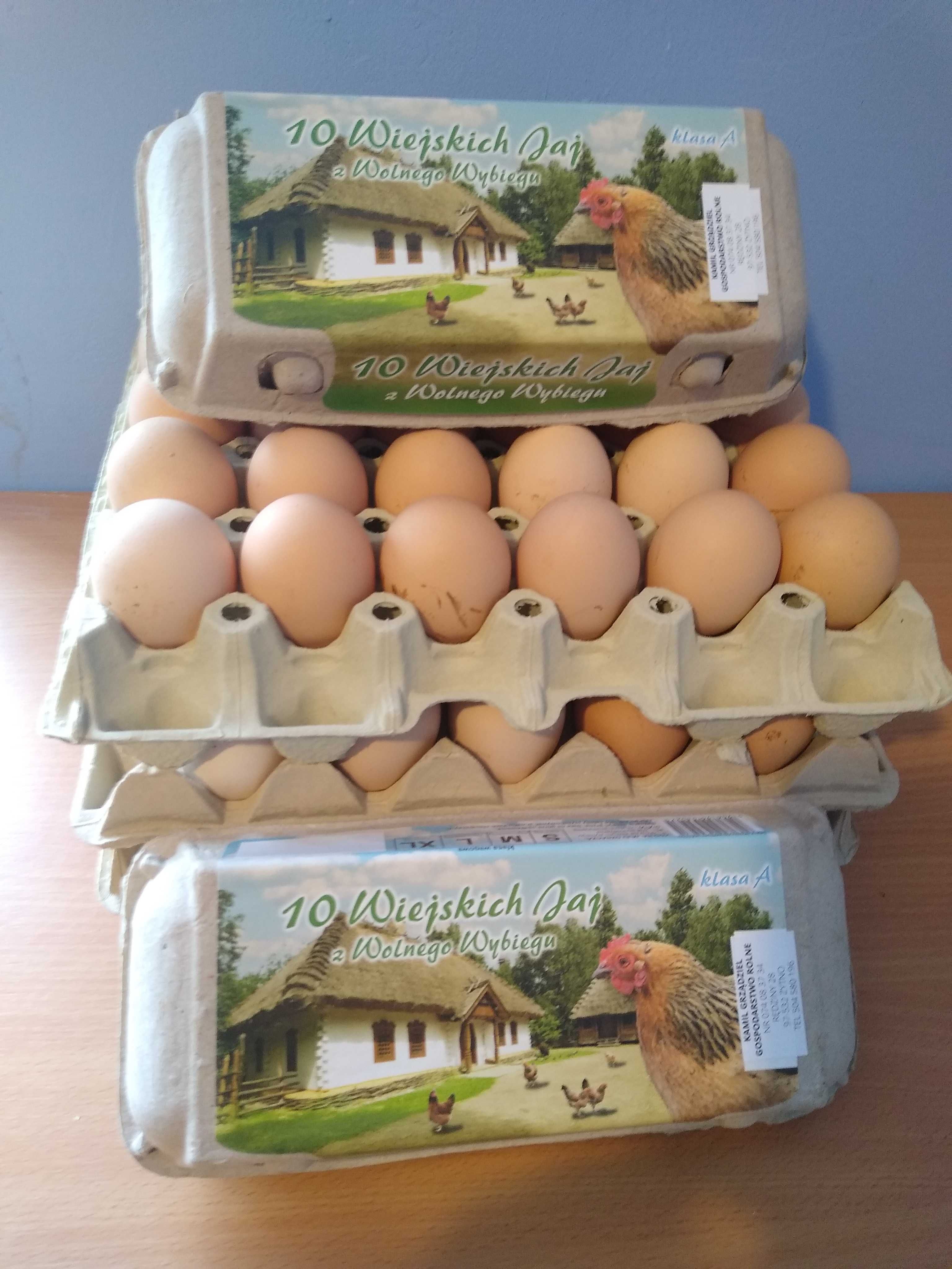Jaja,jajka wiejskie wolny wybieg