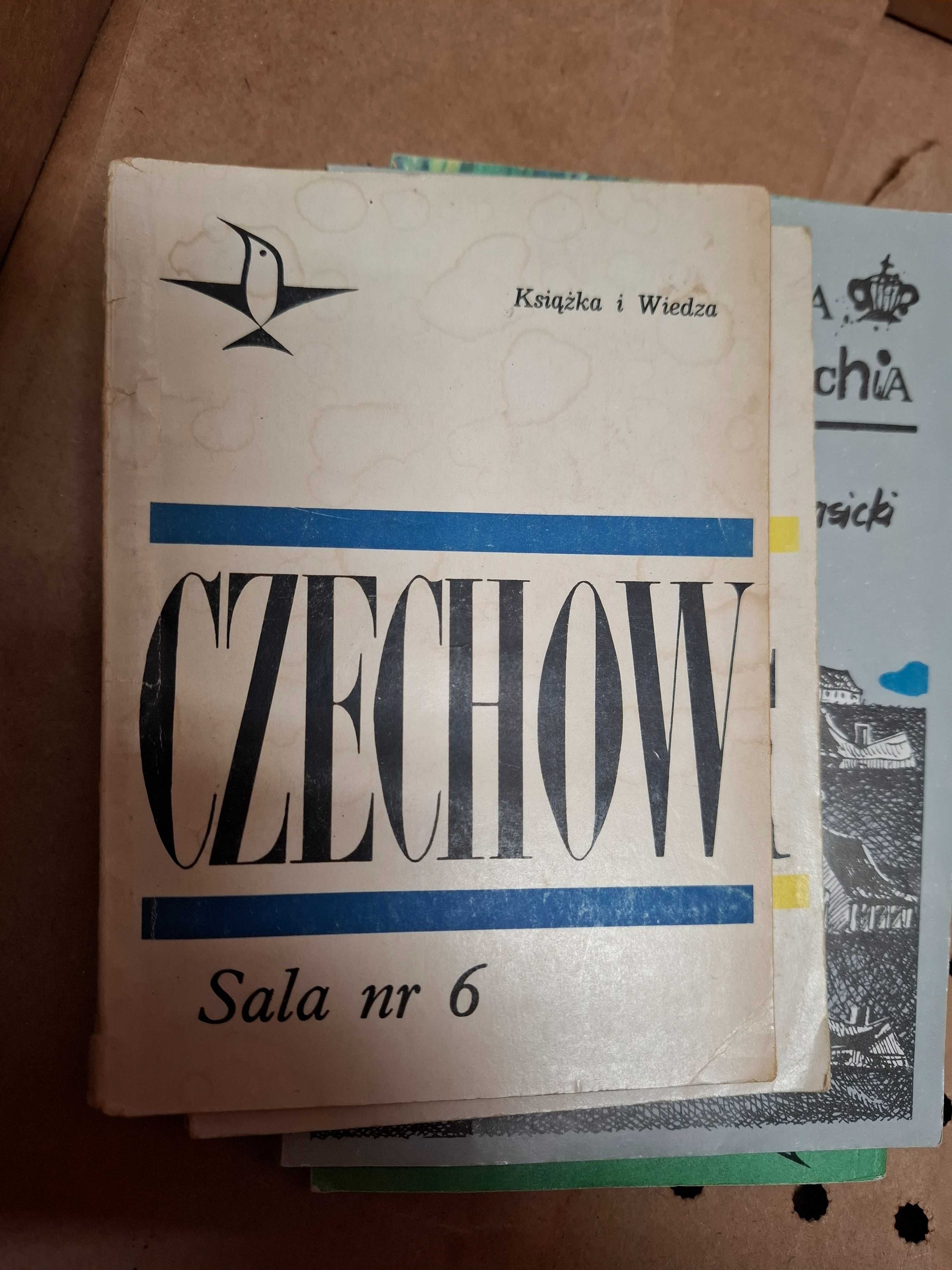 Czechow Sala nr 6