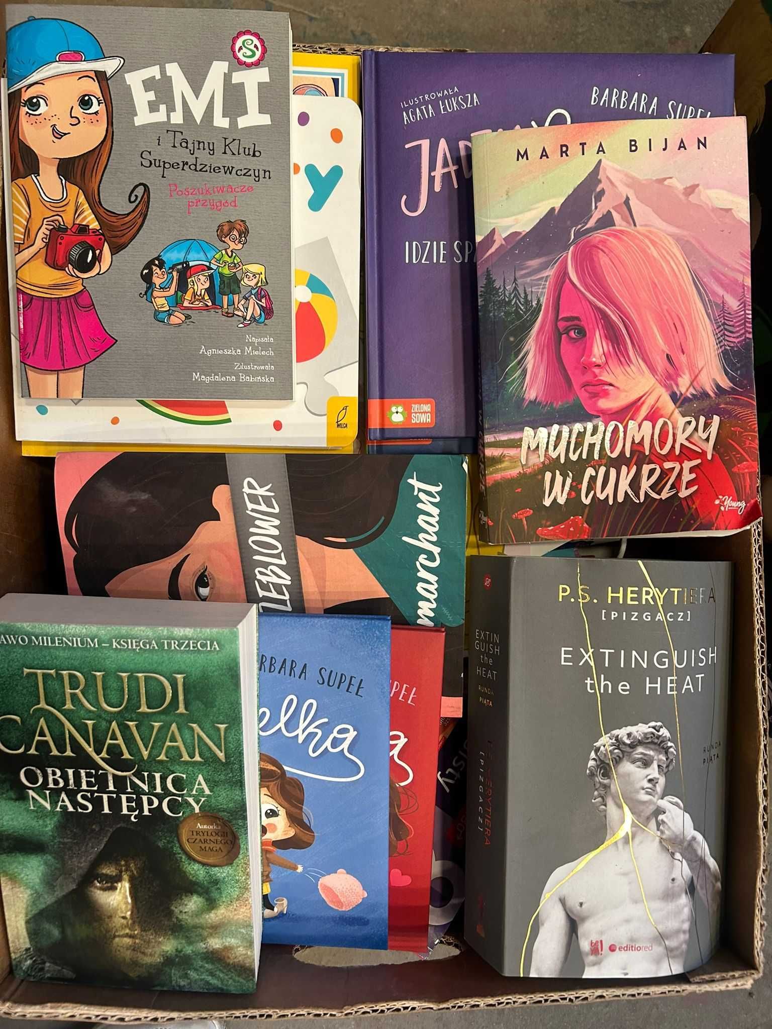 Książki - duża partia! Mix do biblioteki, sklepu, domu! Wszystkie nowe
