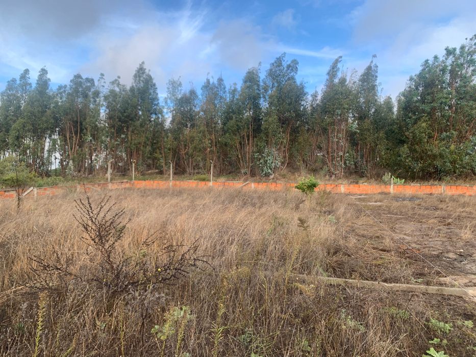 Terreno a venda na Quinta da marquesa