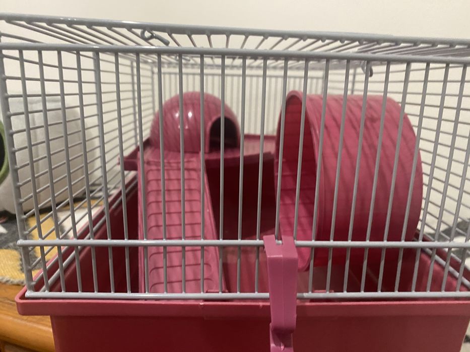 Gaiola para Hamster, roedor