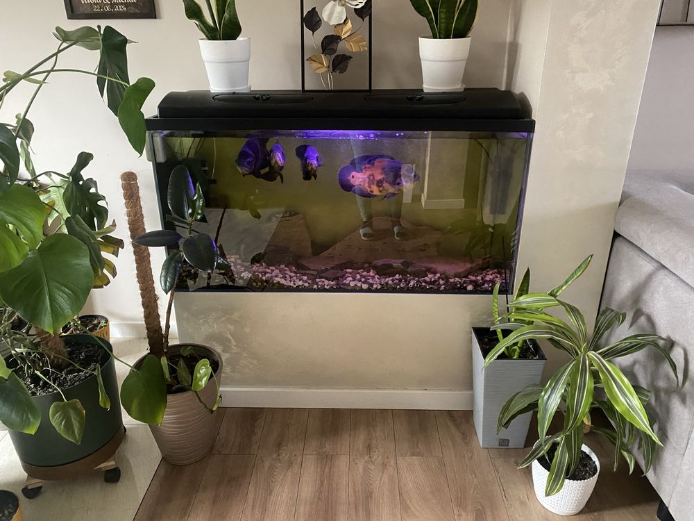 Sprzedam akwarium 350l
