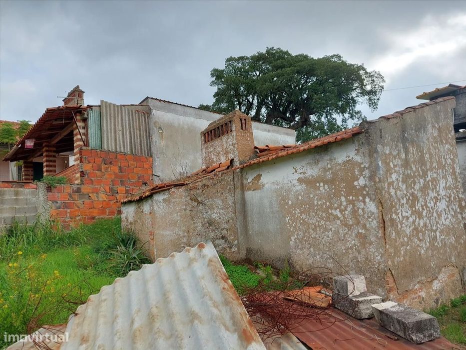 Ruína em Limeiras - Praia do Ribatejo