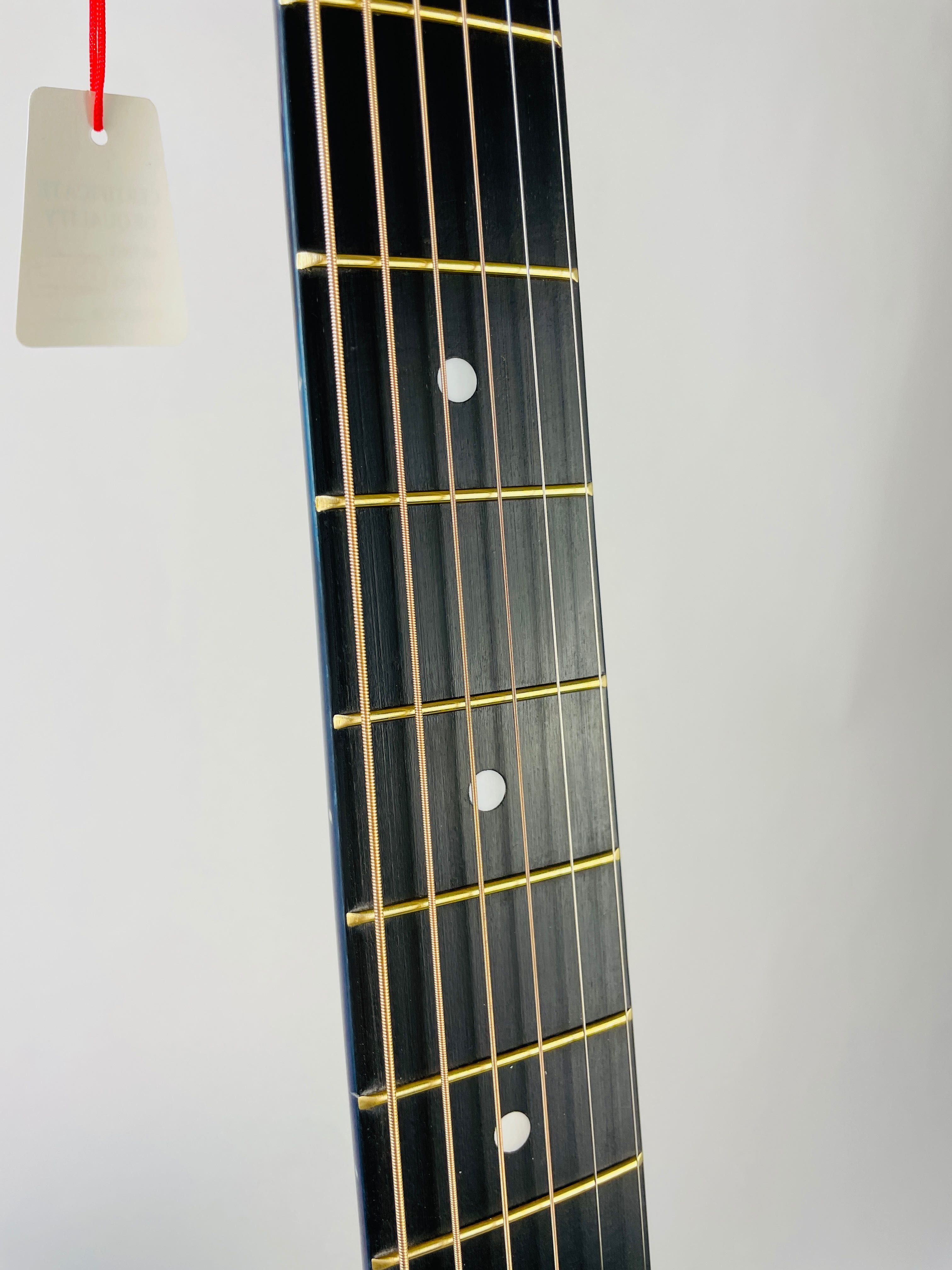 Gitara akustyczna WestRoad WG-29 BLS dobra do nauki
