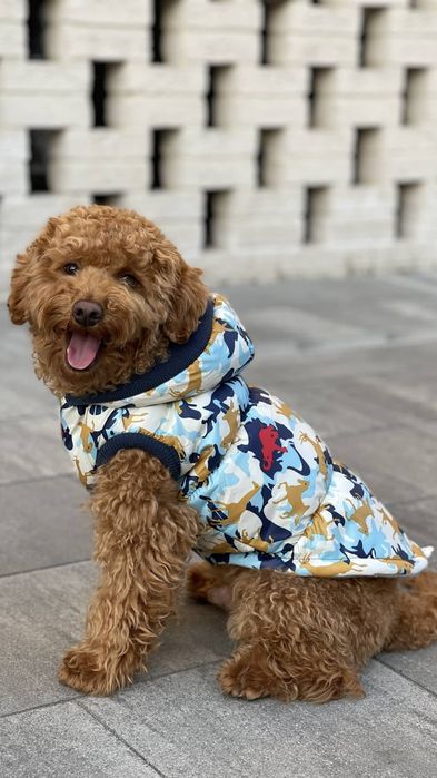 Жилет зимний для собак