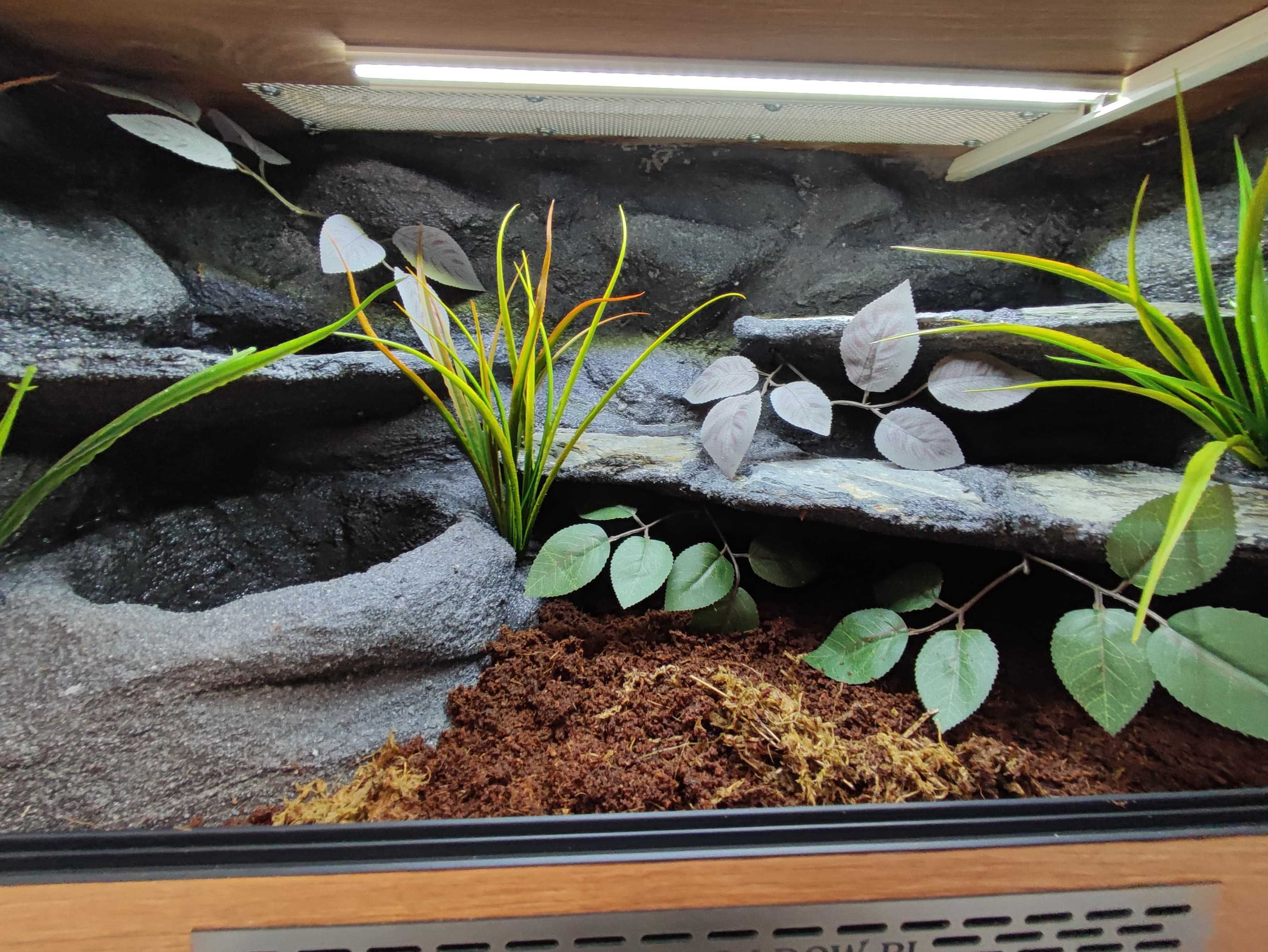 Terrarium pustynne nr745 80/40/40 dla węża boa pyton DOSTĘPNE
