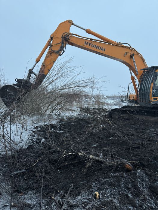 Корчевание деревьев