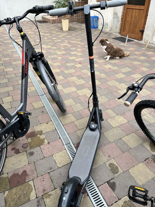 Електросамокат Ninebot f20d 2022 р