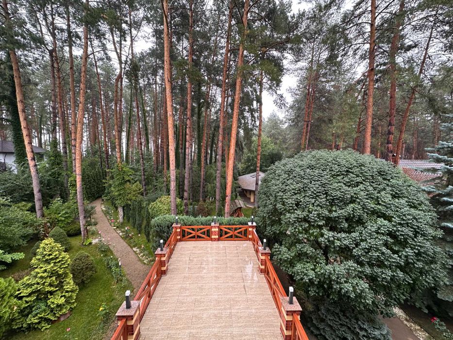 містечко біля лісу, 45 соток, будинок 600 м2, Стоянка