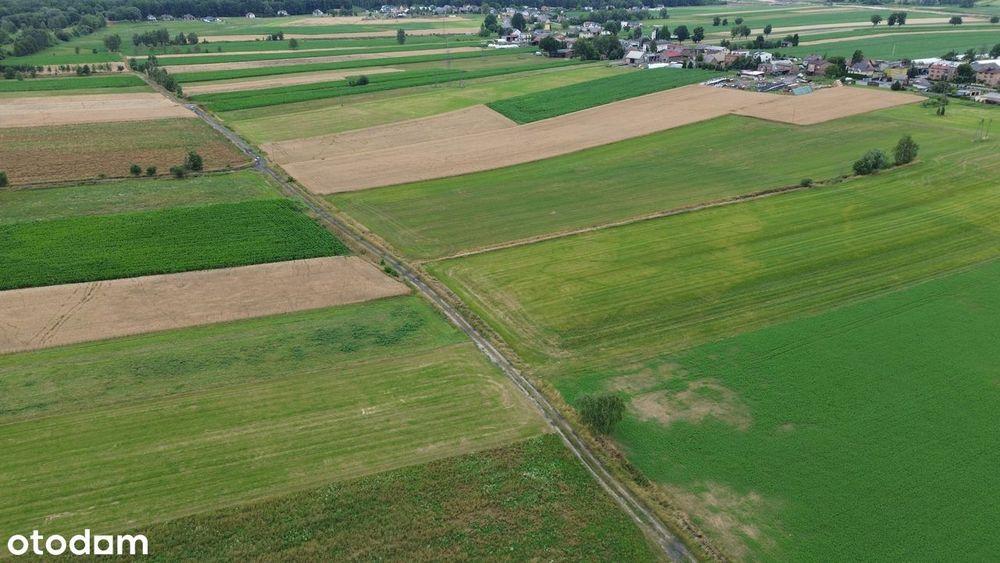 Działka rolna. Brak planu zagospodarowania. Droga.