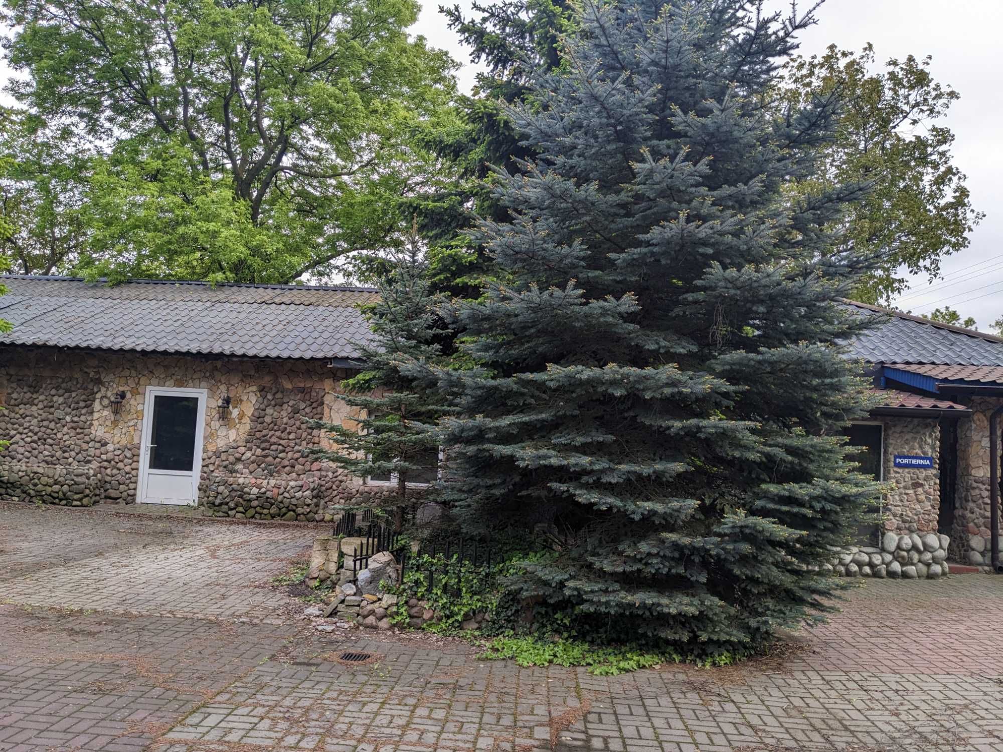 Dom , budynki gospodarcze na działce 3000 tyś m