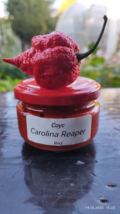 Набір соусів Carolina Reaper 5 шт