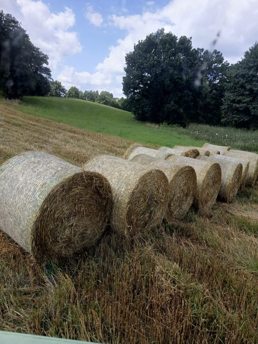 Słoma siano Żytnia przeżytnia owies