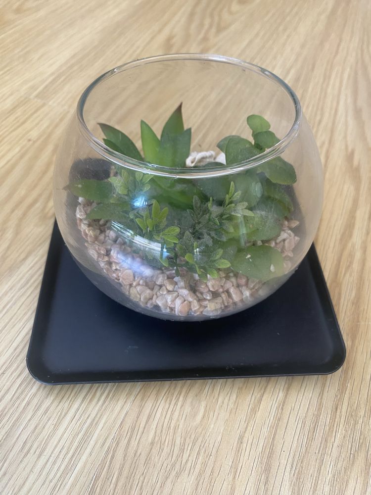Vaso decorativo agave