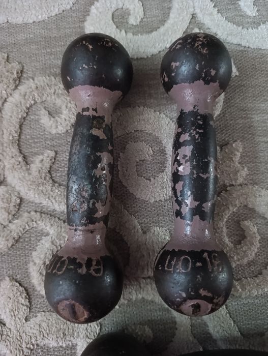 Гантелі литі пара по 1 кг, пара по 3кг