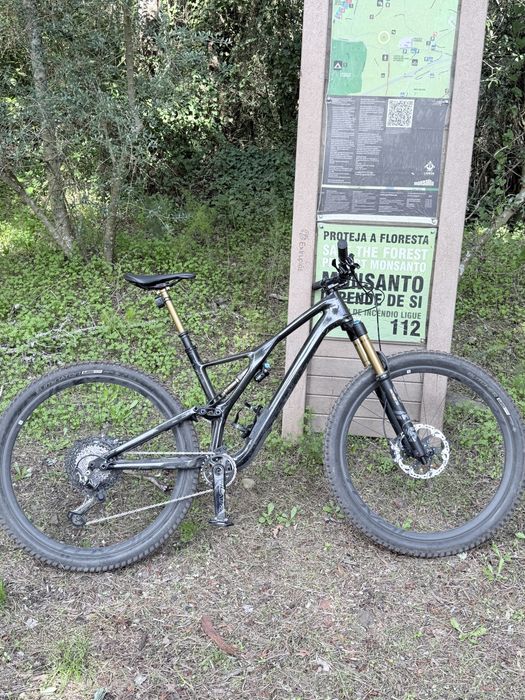 2020 S-Works Stumpjumper 29