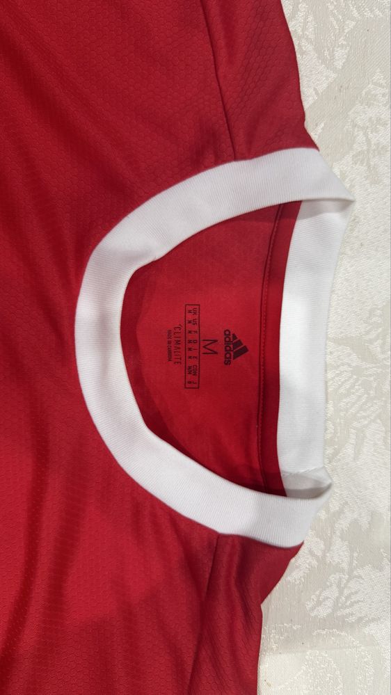Camisola benfica 19/20 oficial