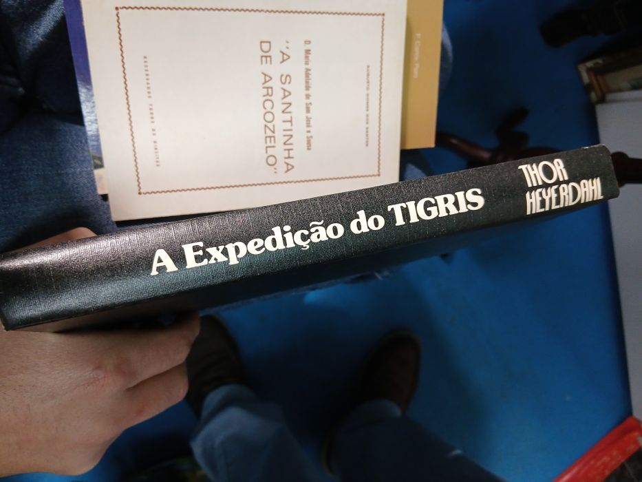 Thor Heyerdahl, A exploração do Tigris