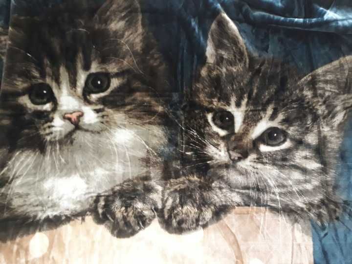 Koc akrylowy 210x160 Elway