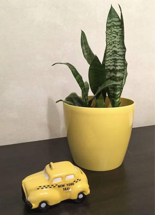 Подобово апартаменти центр Погодинно