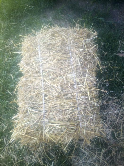 Świeże siano .          .