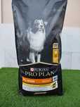 Saco de ração Purina proplan 14kg com oferta de mais 3 kg