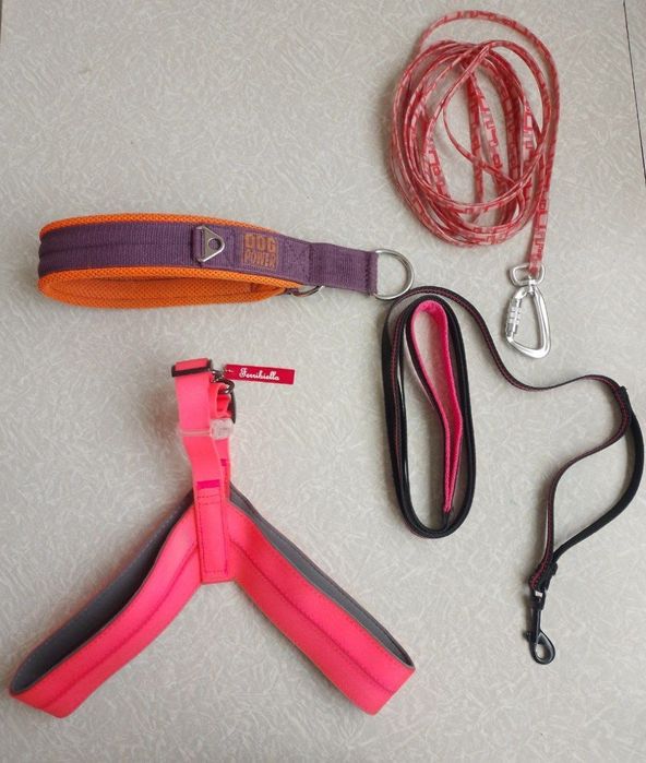 Ошейник поводок для собаки