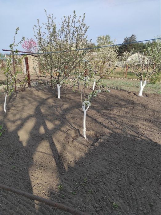 Продам будинок Павлоград продам дом