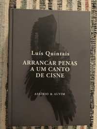 Livro poesia - luis quintais