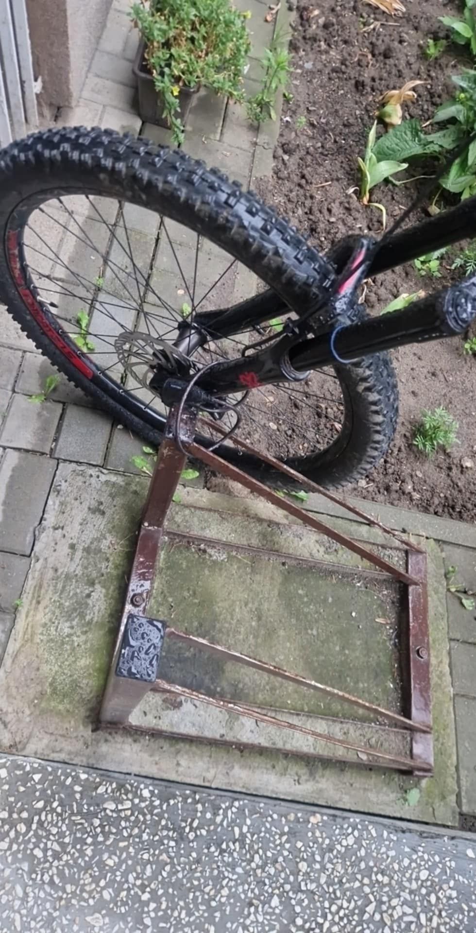 Rower enduro Dartmoor Blackbird Intro 27.5 2021