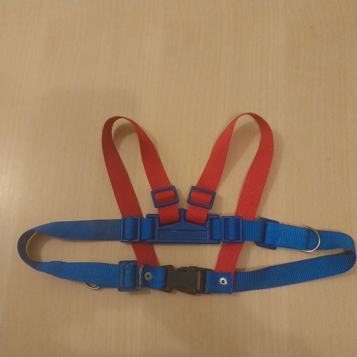 canpol baby safe szelki do wózka, huśtawki, fotelika