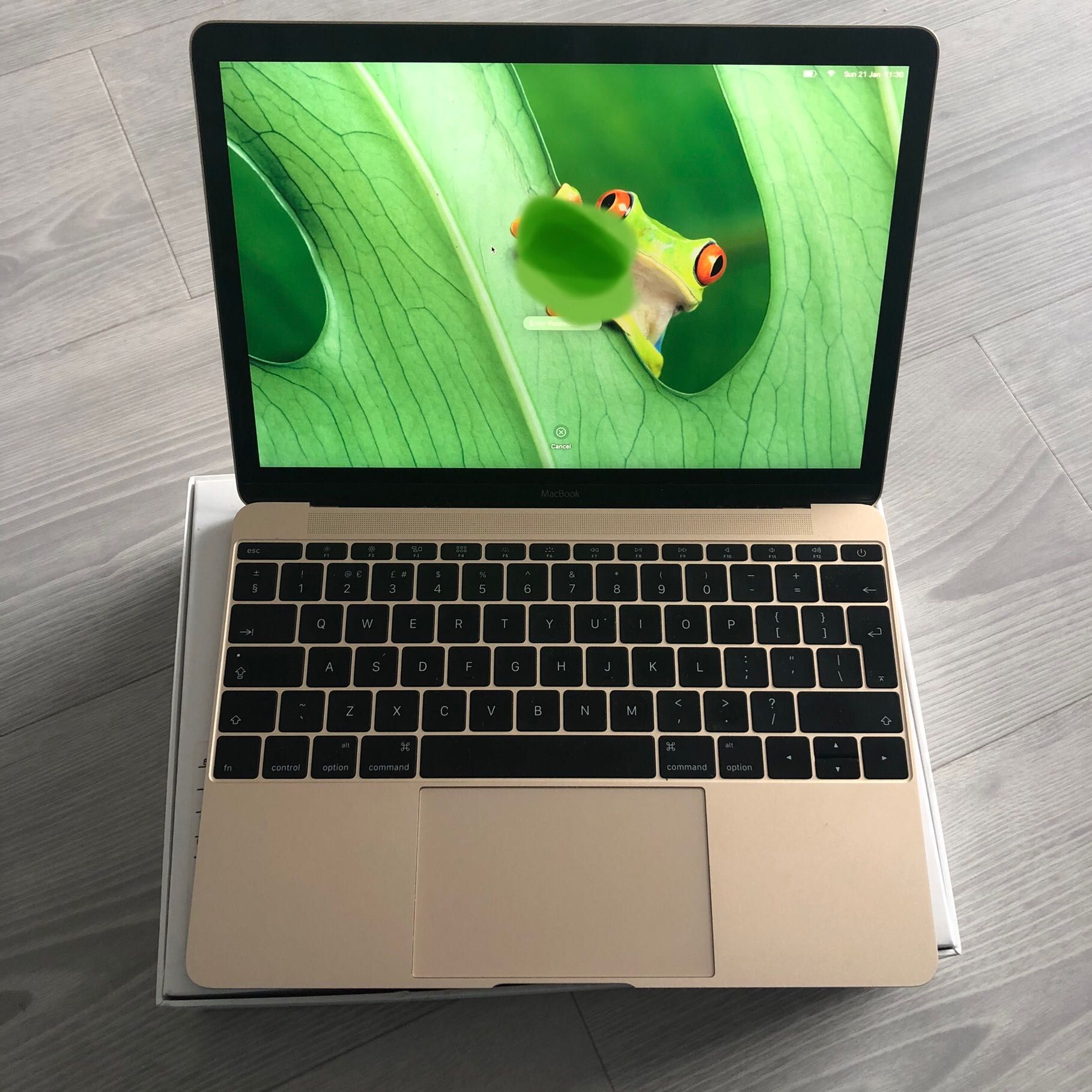 MacBook 12 inch / Rosa 256gb