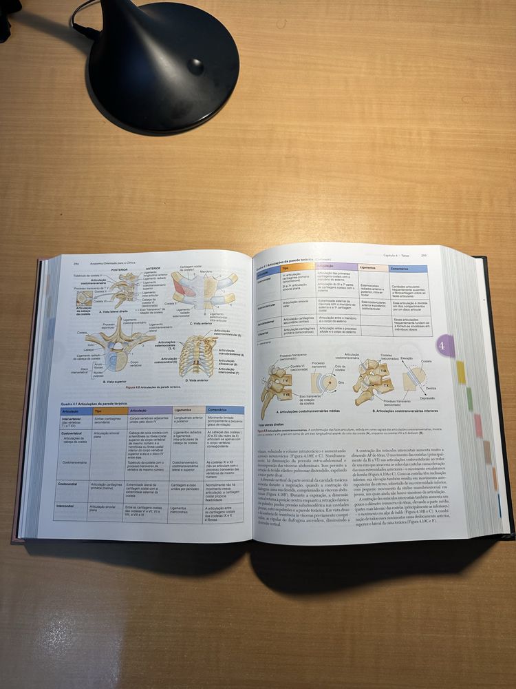 MOORE Anatomia orientada para a clínica, 8ªedição, em Português