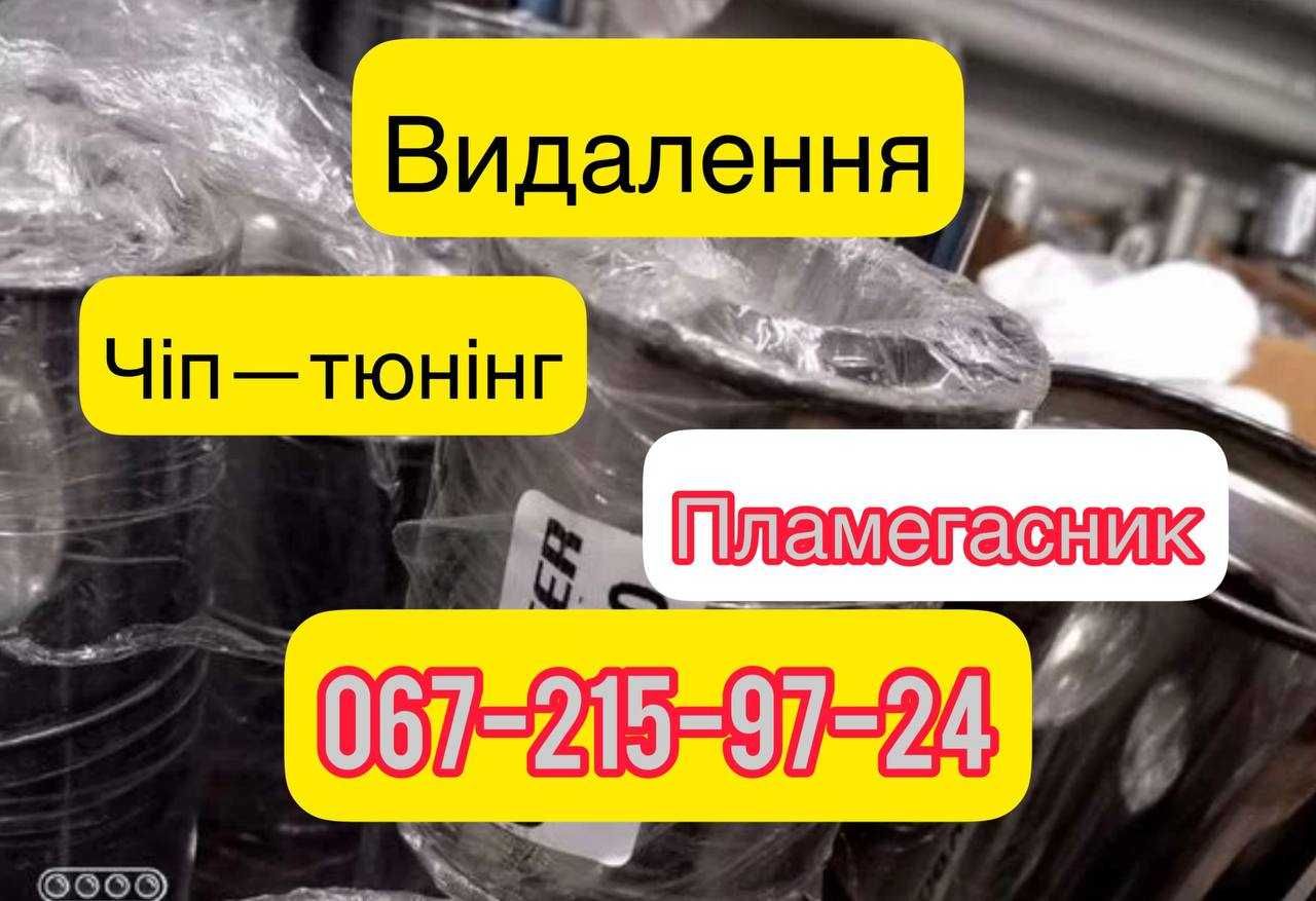 Видалення каталізатора Прошивка ЄВРО2 Безкоштовно Диагностика Гар-я