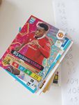 Karty panini  adrenalyn fifa 365