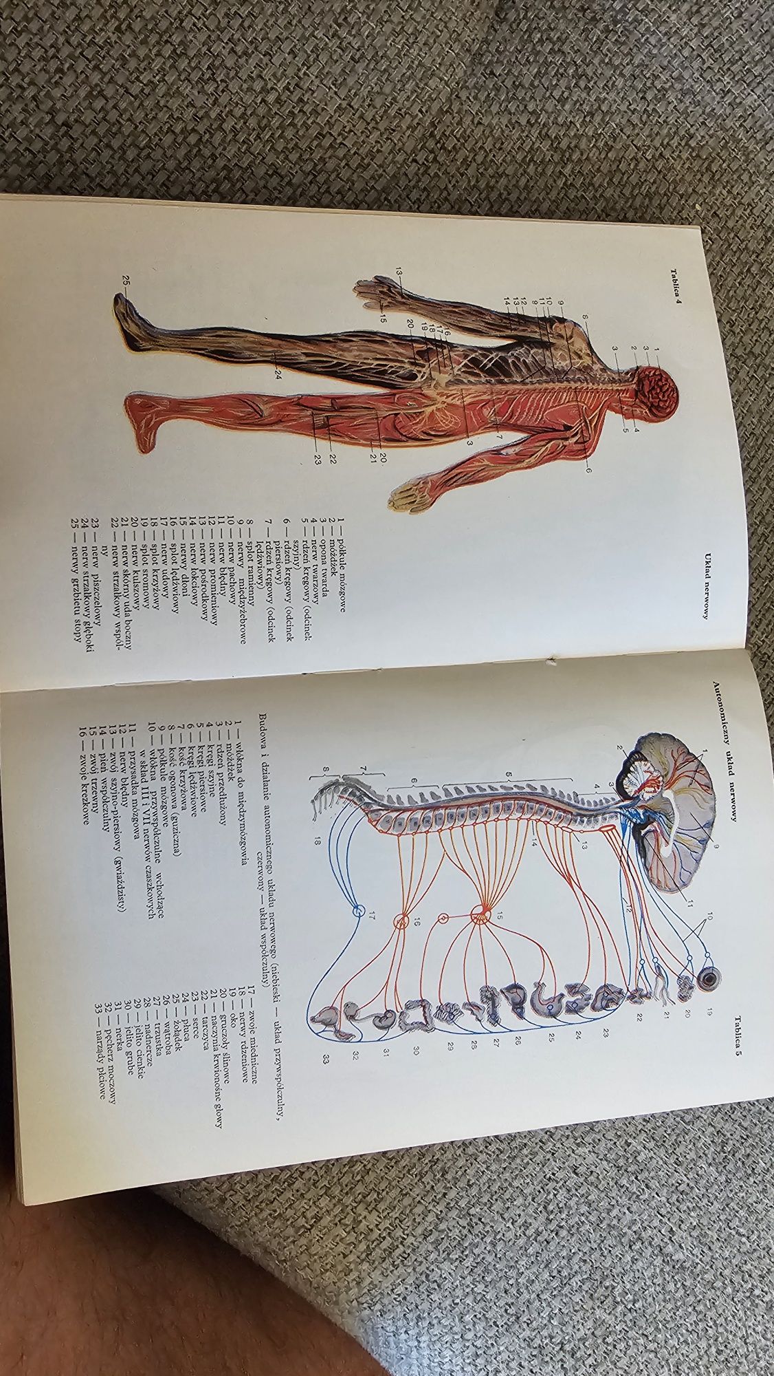 Mała encyklopedia medycyny PWN 1979
