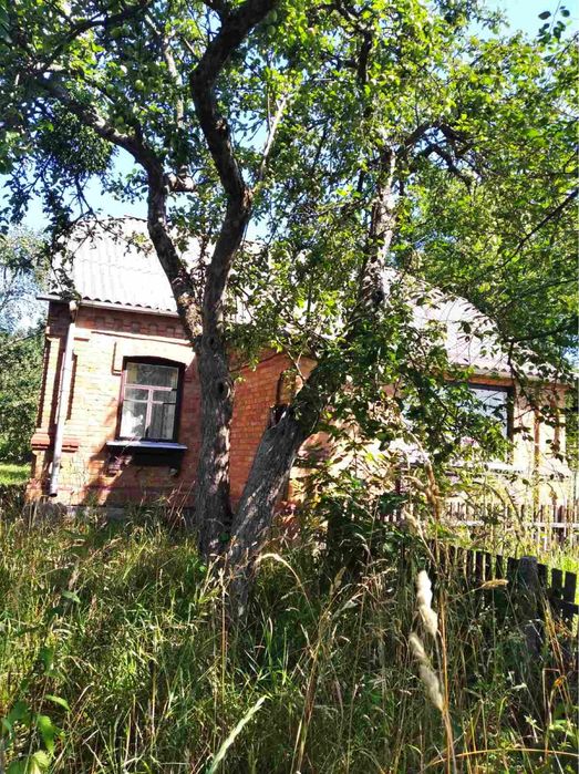 Будинок з садком та ділянкою