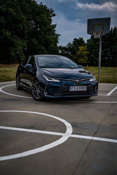 wynajem wypożyczenie samochodu wypożyczalnia samochodów busa auta aut