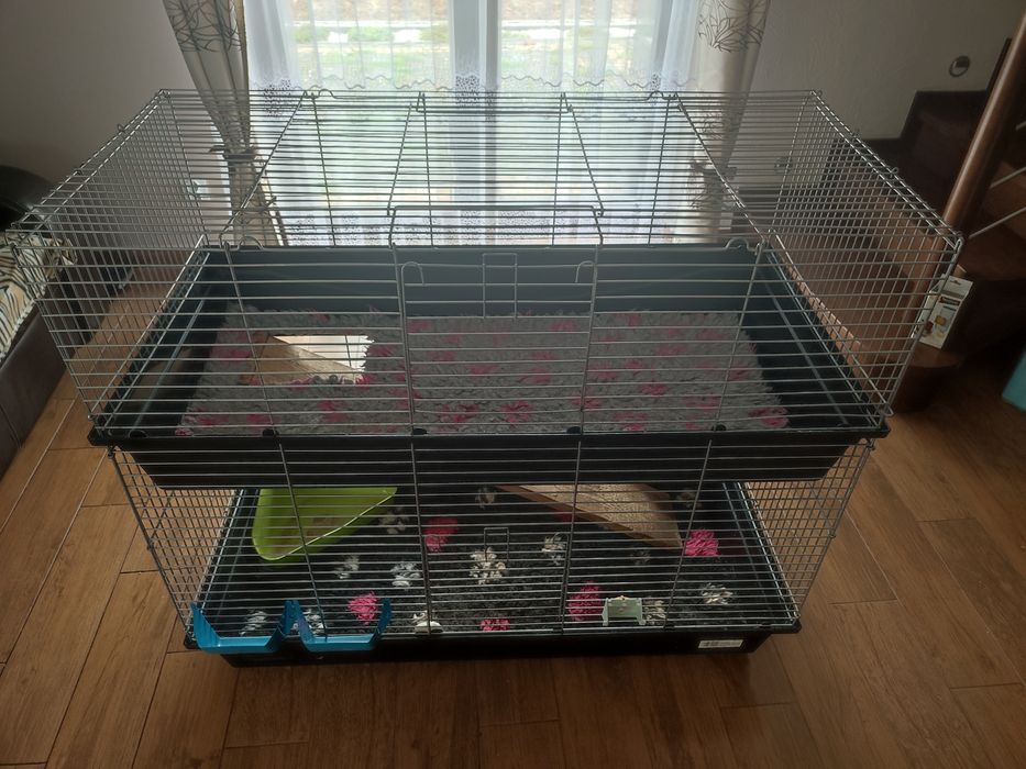 Duża klatka piętrowa 120 cm x 60 cm dla świnki morskiej, królika