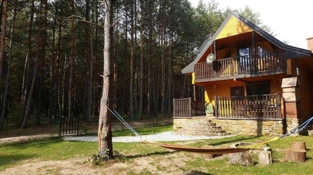 Domek w lesie nad jeziorem Chańcza WYNAJMĘ