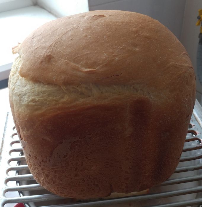 Хлібопіч Panasonic SD-254