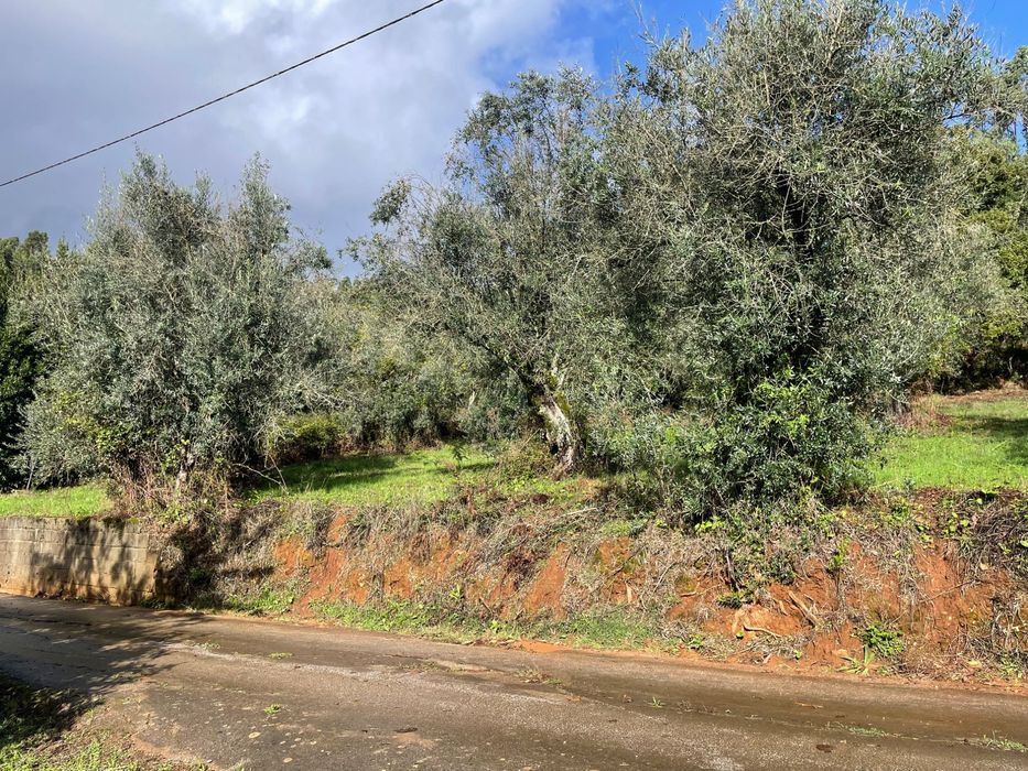 Terreno para construção em Penela