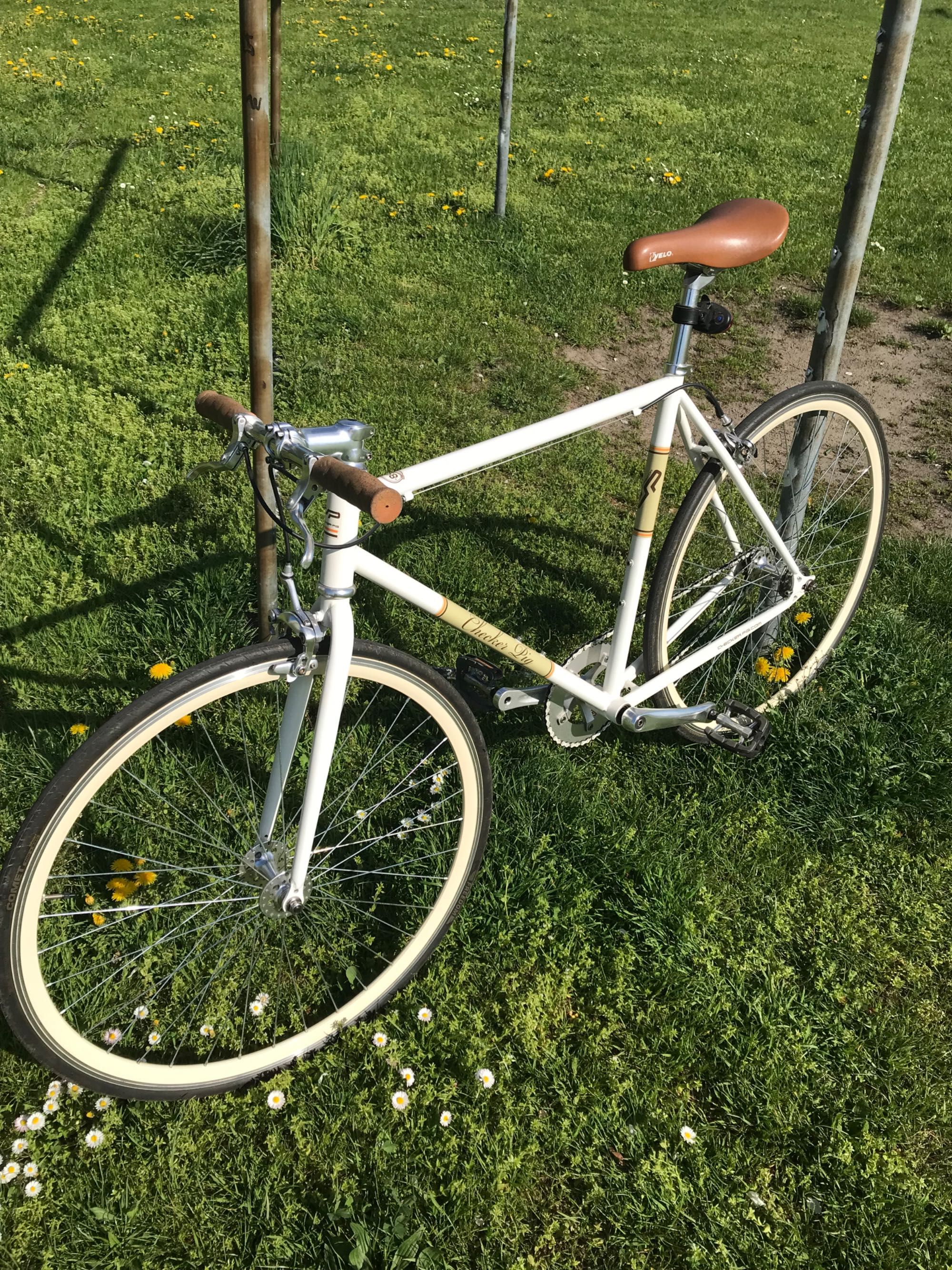 Rower ostre koło checker pig singlespeed