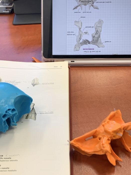 Korepetycje z języka angielskiego
